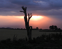 Sub-Saharan farmland – why it’s worth the risk