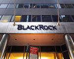 BlackRock trust sells shed portfolio