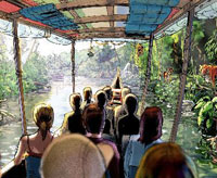 Chester Zoo gets tropical