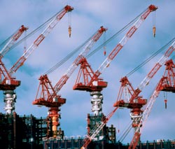 EGJ-16-cranes.jpeg