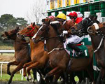 Ladbrokes eyes M25 move