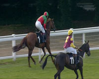 Property raises £200,000 at Ascot