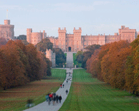 Buoyant July for Windsor and Woking offices
