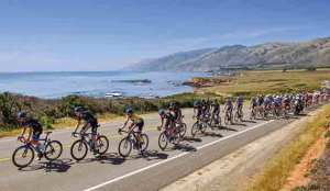 Cycle-race-REX-570px