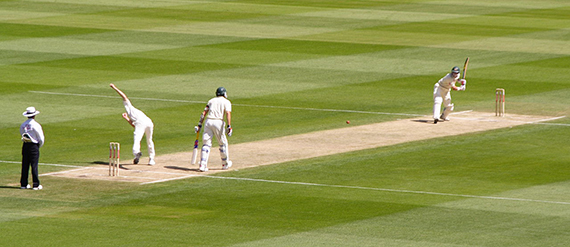 Cricket-generic