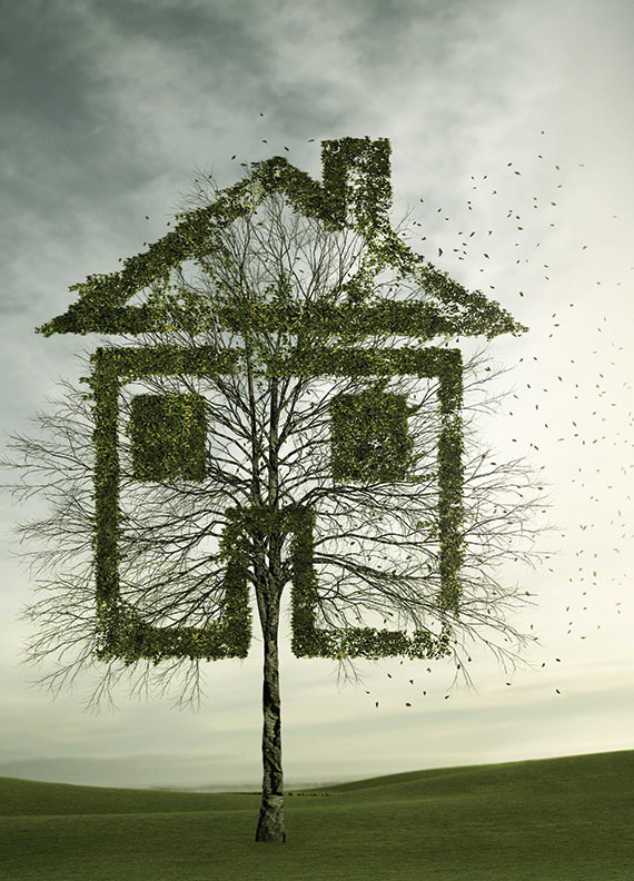 Tree-house