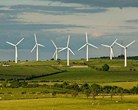 Windfarm-THUMB