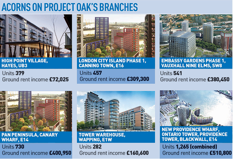 Project-Oak-assets