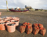 Supreme Court braced for shellfish battle