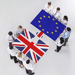 Brexit-Instagram-WP