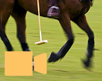 Chestertons hosts polo training session