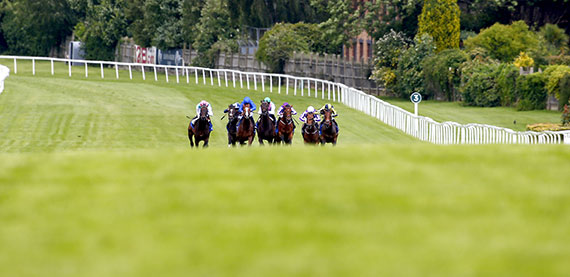 Property-race-day-2