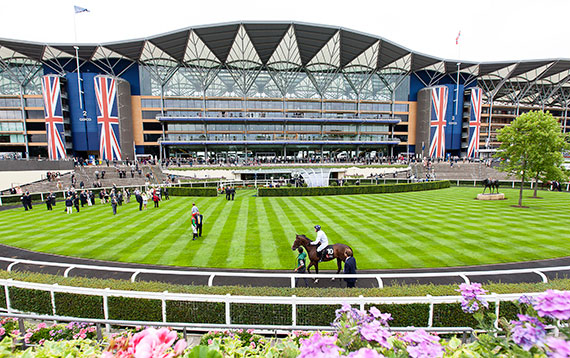 Property-race-day-6