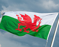 Cardiff reflects on Brexit vote