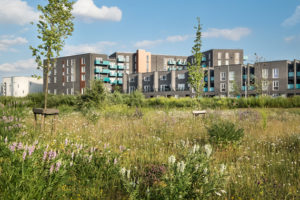 Barking-Riverside-570px