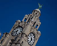 Liver-building-1-THUMB