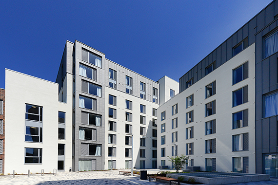 binary-hub-dublin
