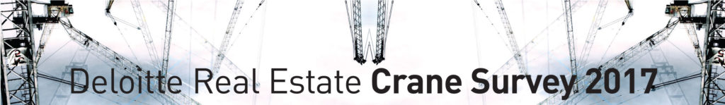 Crane-survey-banner