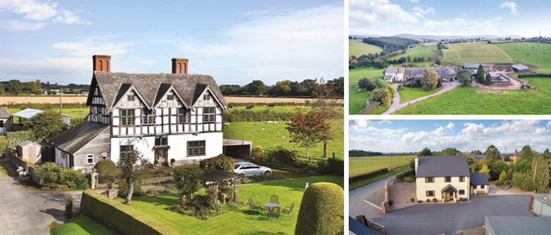 Herefordshire-coutryside-farm-1