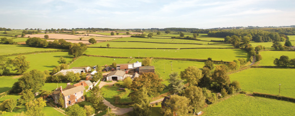 Herefordshire-coutryside-farm-3