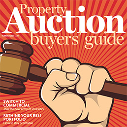 Auction guide Insta
