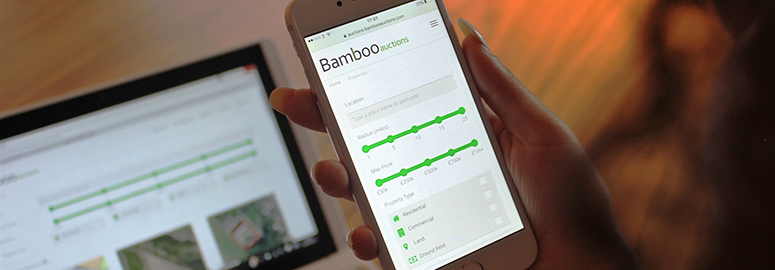 Bamboo-in-story-crop