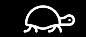 Tortoise-featured-crop