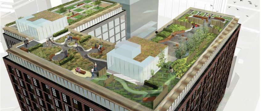 Freddie Flintoff plans major resi scheme in Manchester