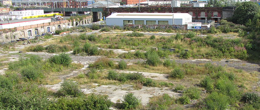Brush up on land contamination guidance