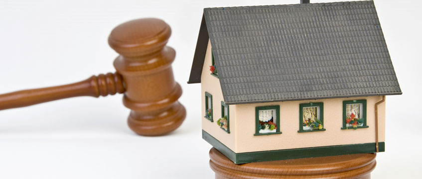 Auction_bidding_rexfeatures_1849556a