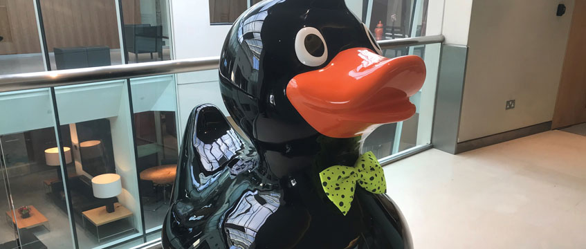 Diary: Love a duck
