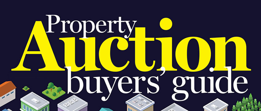Auction Buyers' Guide