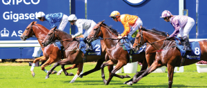 Property Race Day 2018