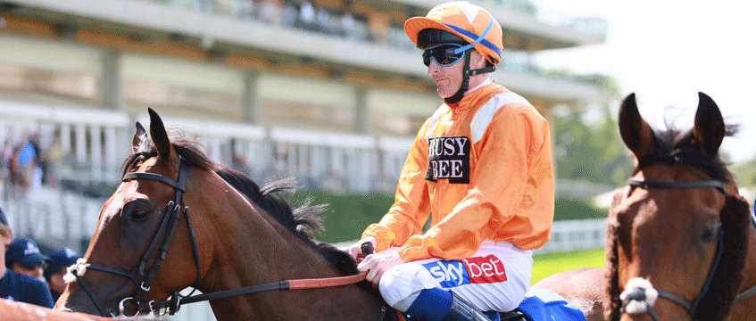 Property Race Day 2018