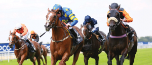 Property Race Day 2018