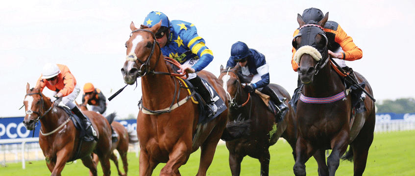 Property Race Day 2018