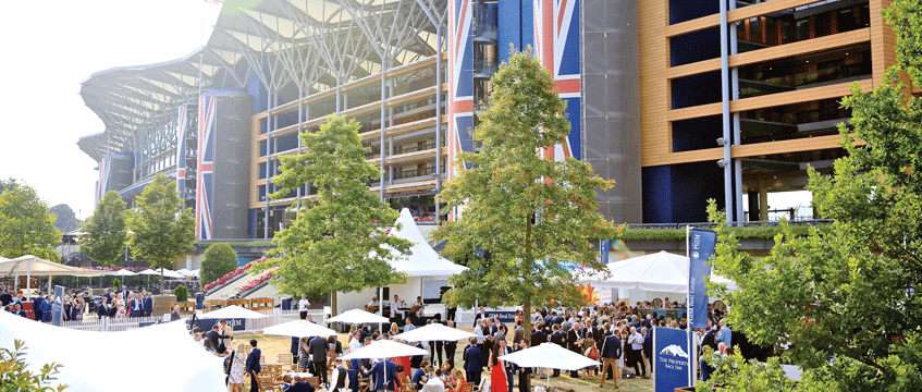 Property Race Day 2018