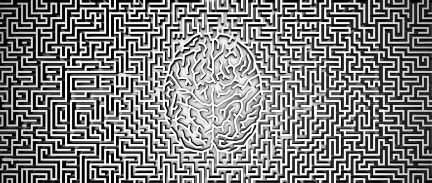 Inside the mind of the occupier