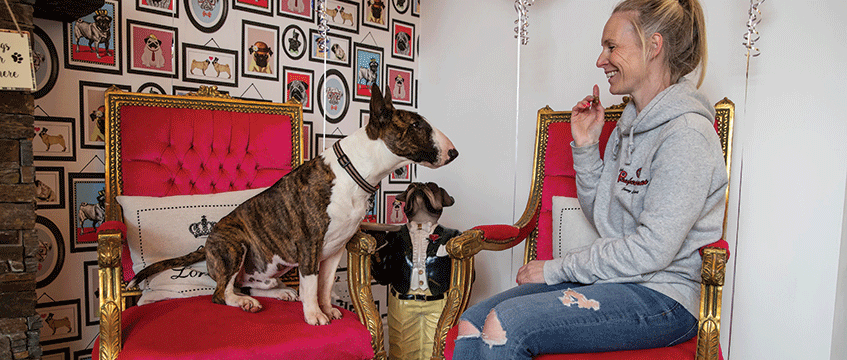 Diary: Hot(el) diggety dog!