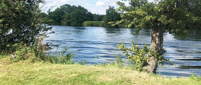 Thameside plot sells for three times its guide price