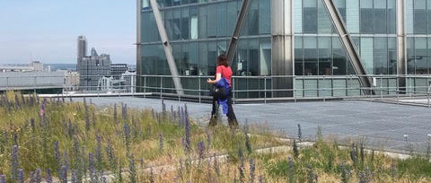The £71,535 question: whether to open a City roof garden at weekends