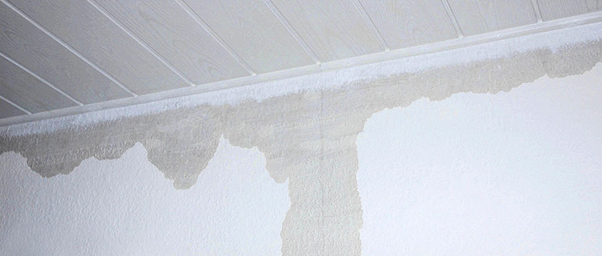 Buyers win compensation from surveyor over leaky house