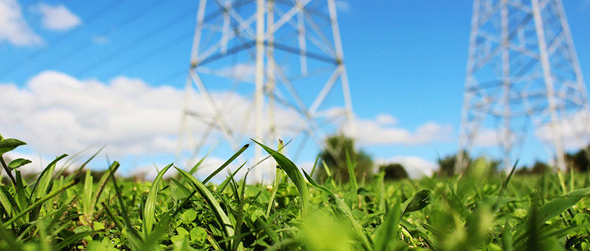 CBRE promises to drastically reduce emissions across 7bn sq ft portfolio