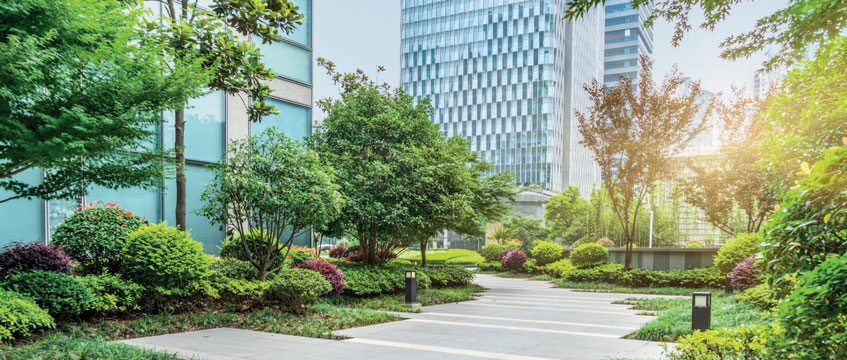 New framework helps businesses forge a path to net zero carbon