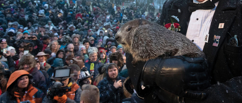 How to make Groundhog Day more bearable