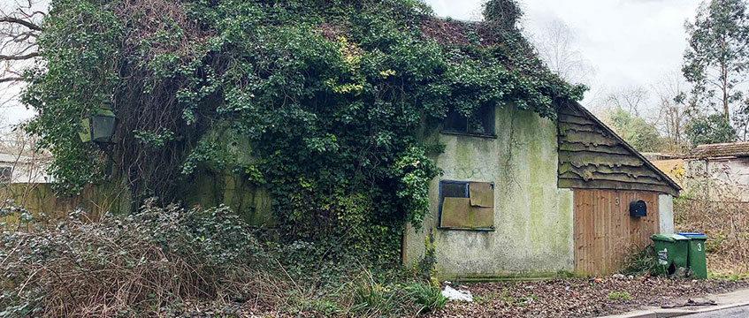 ‘Demand continues apace’ at Clive Emson’s latest sale