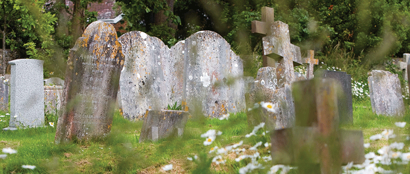 Insolvency: What happens when a company ‘dies’?
