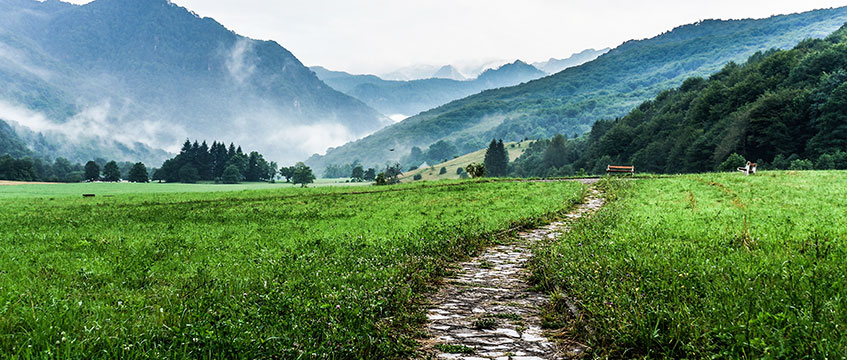 Lease renewals: is PACT the only path?