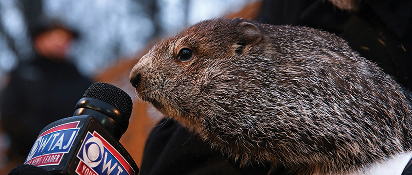 Diary: Groundhog Day all over again