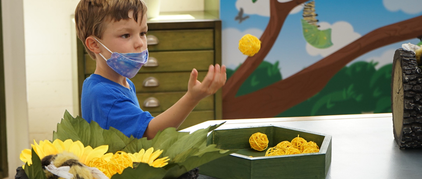 Nursery investment grows as private capital seeks stability